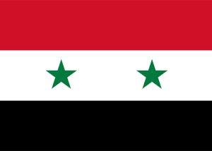 syria waf flag